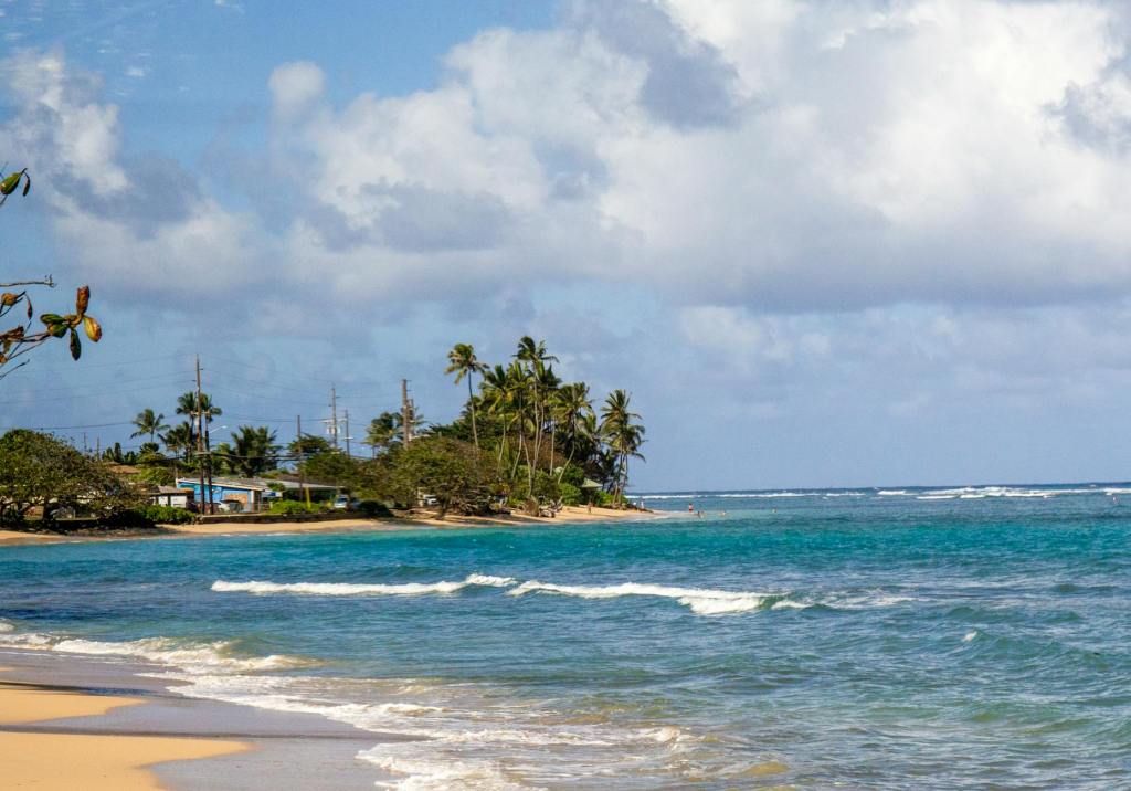 BWI to Kona, Hawaii for $365 | Aug-Nov&nbsp;2024
