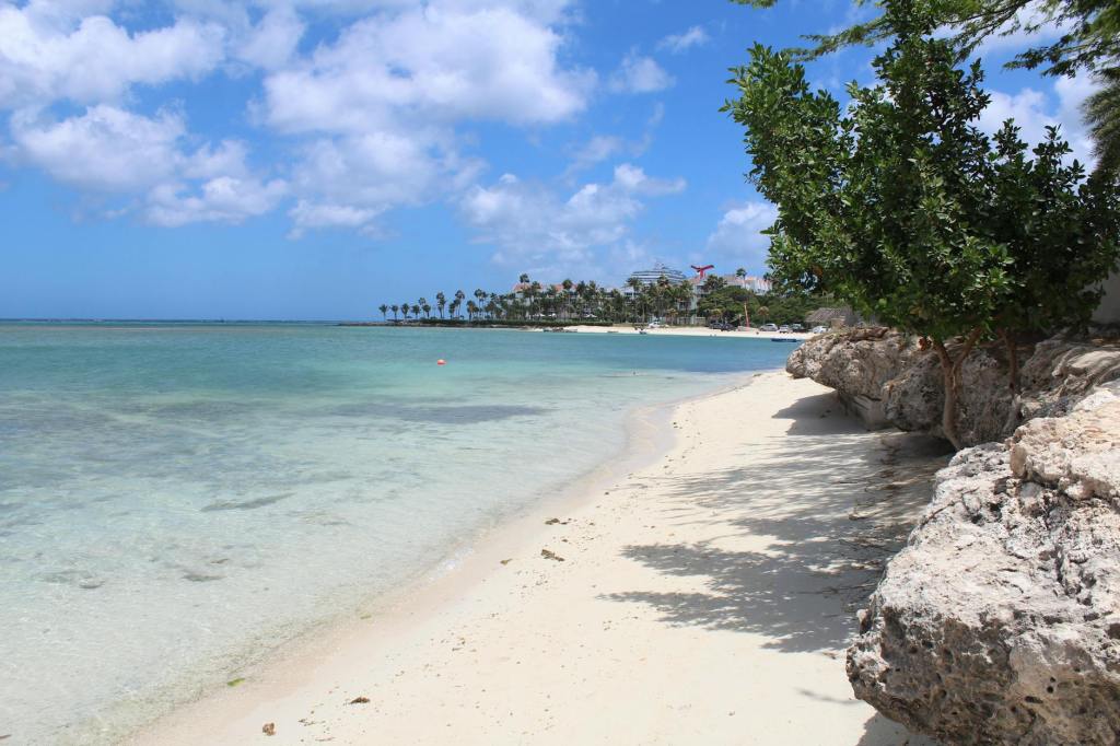 DMV to Aruba for $267 | Aug-Oct&nbsp;2024